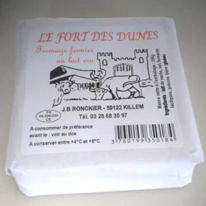 Fort des dunes