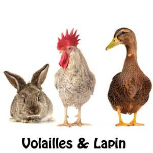 Volailles & Lapin