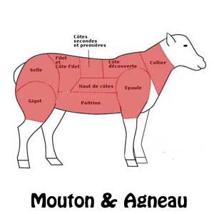 Mouton & Agneau