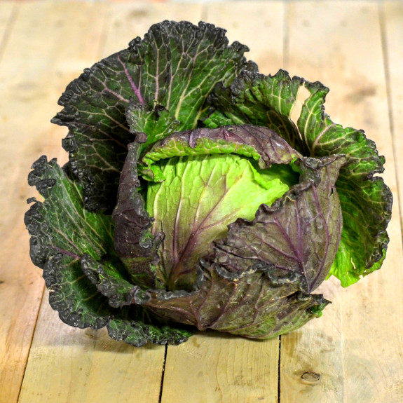 Nouveautés – La Source – Epicerie Participative